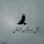 دانلود آهنگ عوض شدی از علی یاسینی و د دان دانلود آهنگ عوض شدی از علی یاسینی و د دان
