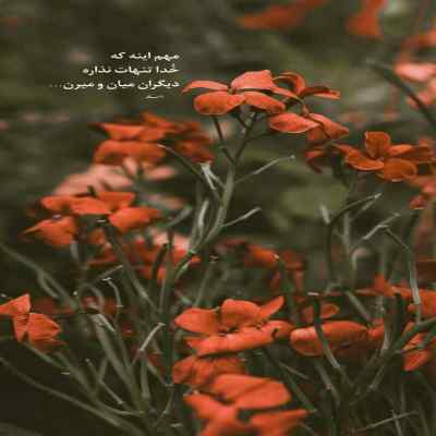 دانلود آهنگ بهار اومد گلا دونه دونه وا شد باصدای زن