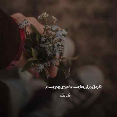 دانلود آهنگ بگو مگه دوسم نداشتی چرا رفتی تنهام گذاشتی باصدای مرد