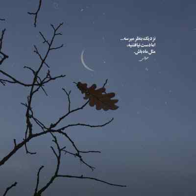 دانلود ریمیکس بگو دیگه پیرم در اومد علی سورنا