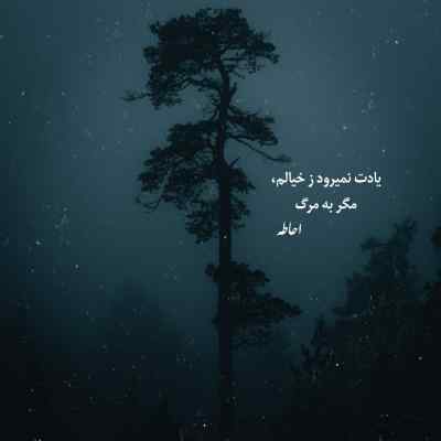 دانلود آهنگ چشمای تو افسانه نیست مجید رکنی