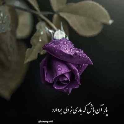 دانلود آهنگ داغ عشق تو سیگاریم کرد نفس با صدای دختر