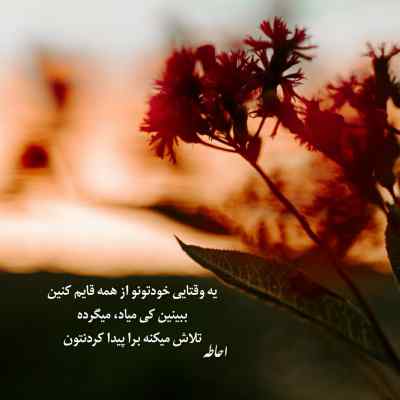 دانلود آهنگ دلم هواتو کرده باز در به در خیابونم با صدای مهیار برومند