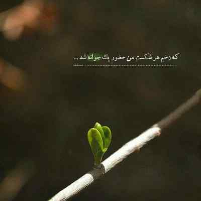 دانلود ریمیکس دلتو زدم دل بریدی از من مرتضی پاشایی