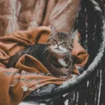 دانلود آهنگ احسان دریا دل میرمو دلم اونوری نرو از این تند تر تو نرونگو فرقی نمیکرد دانلود آهنگ احسان دریا دل میرمو دلم اونوری نرو از این تند تر تو نرونگو فرقی نمیکرد