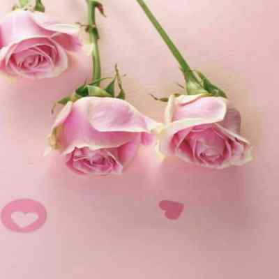 دانلود آهنگ مثل یه آهنگ عاشقانه دوست دارم سلنا گومز