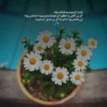 دانلود آهنگ ایرج بسطامی تو رفتی و دلم غمین شد دانلود آهنگ ایرج بسطامی تو رفتی و دلم غمین شد