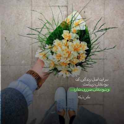دانلود آهنگ خواهم تو شوی محبوب دلم فریدون فروغی