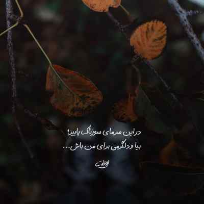 دانلود آهنگ مغز در رفته