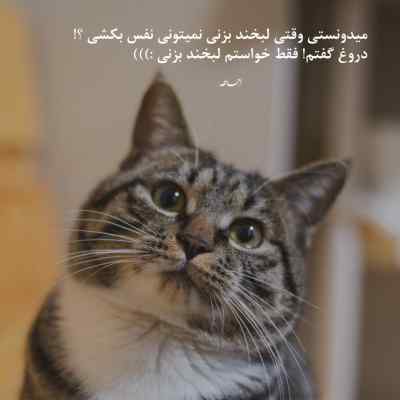 دانلود ریمیکس باید باور کنم دیگه نیست دخترم اینستا