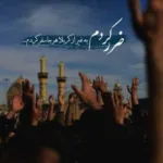 دانلود مداحی مهدی رسولی به باغبون بگویید دیگه لاله نکاره