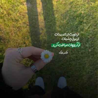 دانلود ریمیکس محمدرضا شجریان بیا که جان مرابی تو نیست برگ حیات