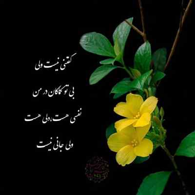 دانلود آهنگ نفهمیدم داری سرد میشی اون آخراش میلاد بابایی