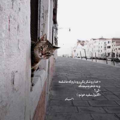 دانلود ریمیکس نازی نازی ولک نمک میریزه با صدای زن