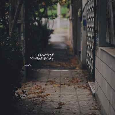 دانلود آهنگ دیگه تموم شد فصل ما هنوز بلد نیستم بی تو شهرمو