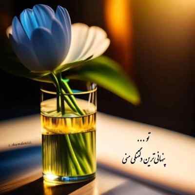 دانلود آهنگ بگو الان کجای شهری برسونم خودمو نیکان نباتی