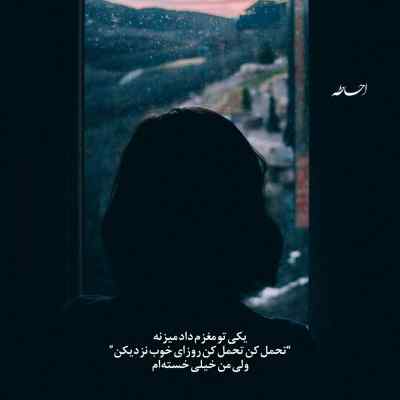دانلود آهنگ سر به دیوار زدم دل دیوار شکست با صدای مهراج