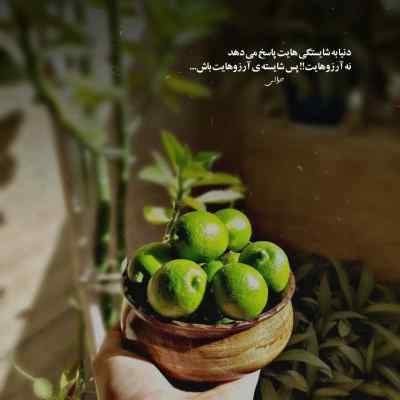 دانلود آهنگ سپهر و پروا لیلوشت
