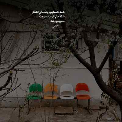 دانلود آهنگ شقایق نبودی به پات جون بذارم تو نازم نبودی