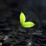 دانلود آهنگ شروین حاجی آقاپور من جاده رو برات صاف میکنم دانلود آهنگ شروین حاجی آقاپور من جاده رو برات صاف میکنم