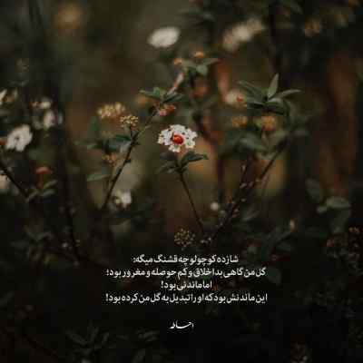 دانلود آهنگ سیجل کلو