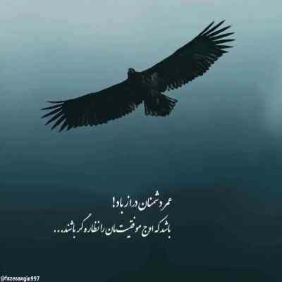 دانلود آهنگ تنها بودن فیریکه رفیق شیشت پیچیده