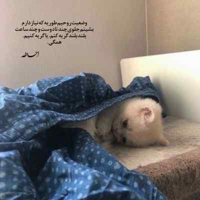 دانلود آهنگ تو برام آرامشی تو دست نوازشی چی توی چشات داری از حمید سلمانی