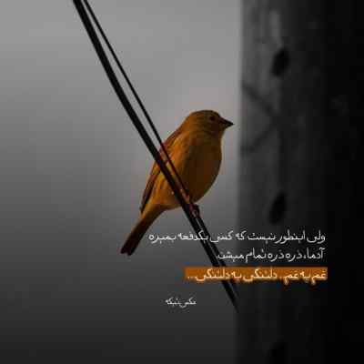 دانلود آهنگ تو این شبا کی تورو بغل میگیره محسن آقاخانی