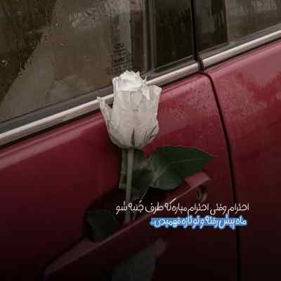 دانلود آهنگ واسه تو میخرم طلا ملا امیر مسعود