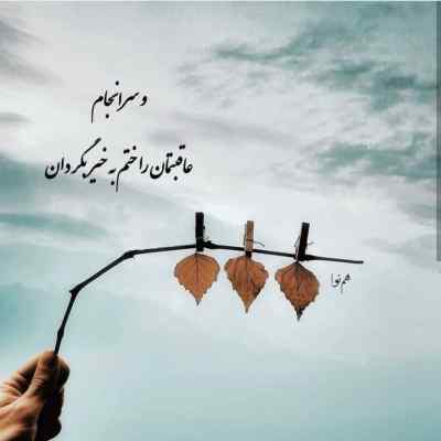 دانلود آهنگ یار عزیزم بی مو جر کرده