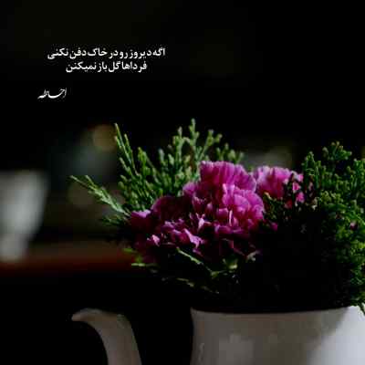 دانلود آهنگ آهای گل بختیاری پویان مختاری