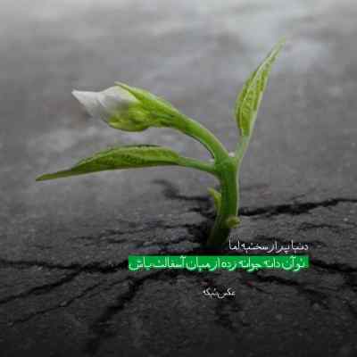 دانلود آهنگ بهت قول میدم سخت نیست با صدای عایشه گل