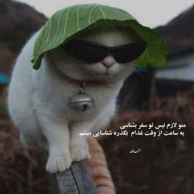 دانلود ریمیکس دمه دنیا گرم که تا حالاش حال داده حصین