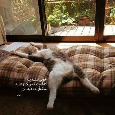 دانلود آهنگ همه چی از اونجا شروع شد تهی