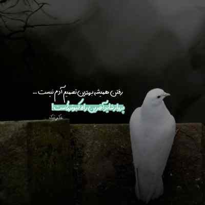 دانلود آهنگ این دل دیوونه کجاست چه ساکت و چه بی صداست باصدای زن