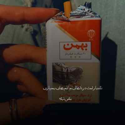 دانلود آهنگ اینجا تهرانه یعنی شهری که جای تو نیست مرتیکه