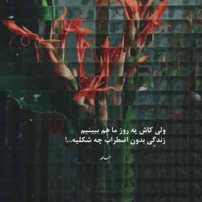 دانلود ریمیکس من از هیشکی گله ندارم جز خودم رضا پیشرو