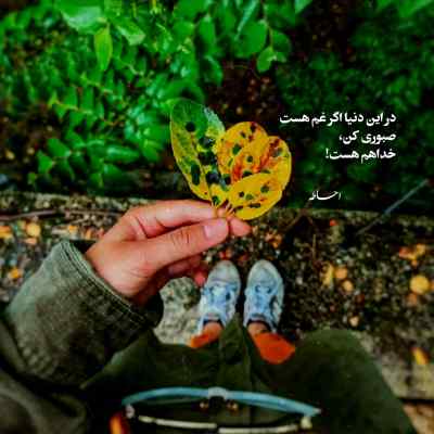 دانلود آهنگ من هوس باز نبودم نامردی از دنیا دیدم