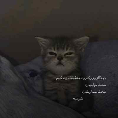 دانلود آهنگ من که نازتو گرون میخرم با صدای زن
