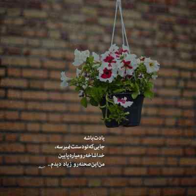 دانلود آهنگ میدونستی دل دیوونه من عاشقته باصدای زن