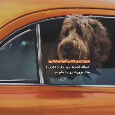 دانلود ریمیکس نه نای موندن هست نه پای رفتنو