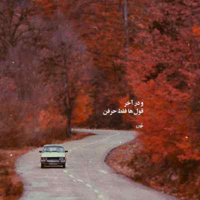 دانلود آهنگ نمیشه ازت دل کند باصدای زن