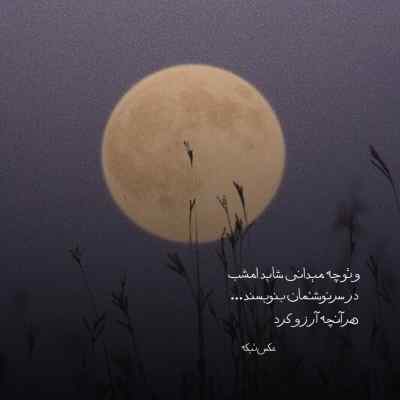 دانلود آهنگ نازی ناز کن که نازت یه سرو نازه از ابی