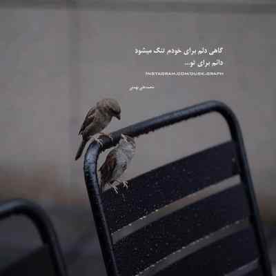 دانلود ریمیکس اومدی و با چشمات دلم رو کردی غارت آرش والا