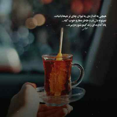 دانلود آهنگ سبزه کشمیر ما زلفای تو زنجیر ما با صدای زن