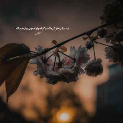 دانلود آهنگ تو بخند با نگاهت که دلم جادو شده چی بگم وقتی دستم پیشه تو رو شده احمد سعیدی