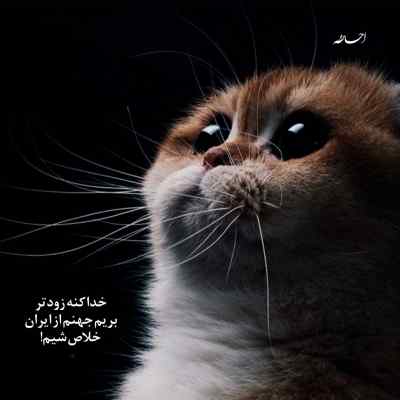 دانلود آهنگ تو شهر آرزوهام دیدم یکی شبیهت با صدای زن