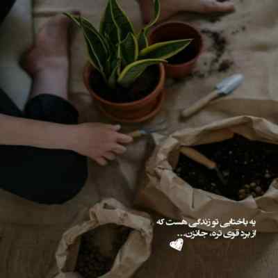 دانلود آهنگ یا مرا ببر به خونتون یا بیا به خونه ما با صدای زن