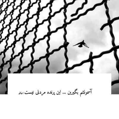 دانلود آهنگ اگه این حسه پر کشید د دون