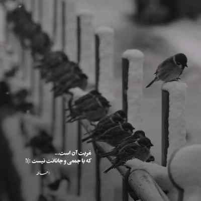 دانلود ریمیکس علیرضا اسپید آسفالت